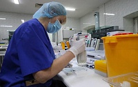 Стволовые клетки справились с долговременными повреждениями легких Стволовые клетки справились с долговременными повреждениями легких