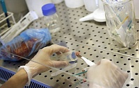 Опыты подтвердили, что замороженная еда может разносить коронавирус Опыты подтвердили, что замороженная еда может разносить коронавирус