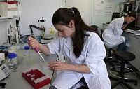 Создана методика, повышающая эффективность искусственного оплодотворения Создана методика, повышающая эффективность искусственного оплодотворения