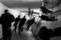 Нейробиологи объяснили, что вызывает галлюцинации Нейробиологи объяснили, что вызывает галлюцинации