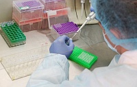 Опубликованы первые результаты испытаний вакцины от коронавируса Опубликованы первые результаты испытаний вакцины от коронавируса
