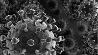 Исследование: бессимптомная пациентка с COVID-19 оставалась заразной 70 дней Исследование: бессимптомная пациентка с COVID-19 оставалась заразной 70 дней