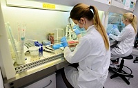 Исследователи из США создали молекулы, разрушающие оболочки многих опасных вирусов Исследователи из США создали молекулы, разрушающие оболочки многих опасных вирусов
