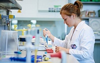 Иммунологи выяснили, как вирус Зика проникает к зародышу сквозь плаценту Иммунологи выяснили, как вирус Зика проникает к зародышу сквозь плаценту