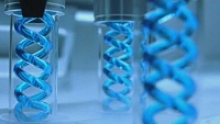Биологи выяснили, что вирусы умеют "говорить" друг с другом Биологи выяснили, что вирусы умеют "говорить" друг с другом