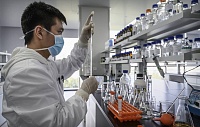 Биологи открыли ранее неизвестный механизм действия антител на вирусы Биологи открыли ранее неизвестный механизм действия антител на вирусы