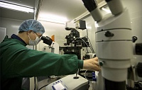 В Японии создали геномный редактор, превосходящий CRISPR/Cas9 в точности В Японии создали геномный редактор, превосходящий CRISPR/Cas9 в точности