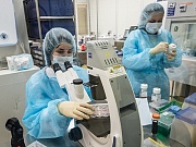 Ученые приблизились к обнаружению причины возникновения рассеянного склероза Ученые приблизились к обнаружению причины возникновения рассеянного склероза