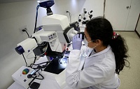 Быстрое развитие атеросклероза связали с бактериями рта и кишечника Быстрое развитие атеросклероза связали с бактериями рта и кишечника
