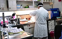 Ученые исследуют особенности глиальных клеток, чтобы эффективнее лечить рак мозга Ученые исследуют особенности глиальных клеток, чтобы эффективнее лечить рак мозга