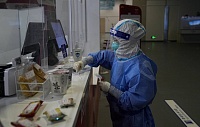 Средство с женьшенем усилило радиотерапию стойких разновидностей рака Средство с женьшенем усилило радиотерапию стойких разновидностей рака