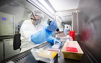 Вакцина растительного происхождения от COVID-19 прошла первую фазу испытаний Вакцина растительного происхождения от COVID-19 прошла первую фазу испытаний