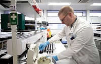 Ученые усомнились в существовании более агрессивной формы коронавируса Ученые усомнились в существовании более агрессивной формы коронавируса
