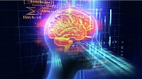 Ученые подтвердили связь между уровнем интеллекта и активностью мозга Ученые подтвердили связь между уровнем интеллекта и активностью мозга