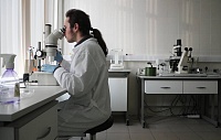 Открыт ранее неизвестный механизм хранения информации в ДНК Открыт ранее неизвестный механизм хранения информации в ДНК