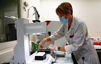 Ученые вырастили модель ранней стадии развития эмбриона человека Ученые вырастили модель ранней стадии развития эмбриона человека