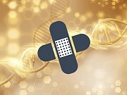 Клеточная терапия заживит раны быстрее обычного Клеточная терапия заживит раны быстрее обычного