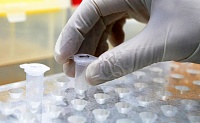 Ученые обнаружили необычную способность COVID-19 Ученые обнаружили необычную способность COVID-19