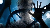 Ученые впервые сделали стволовые клетки "невидимыми" для иммунитета Ученые впервые сделали стволовые клетки "невидимыми" для иммунитета