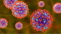 Ученые объяснили заразность коронавируса Ученые объяснили заразность коронавируса