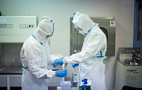 В геноме вируса герпеса нашли сотни новых генов В геноме вируса герпеса нашли сотни новых генов
