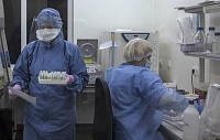 Ни одной из 12 тыс. мутаций коронавируса не предсказали увеличение заразности Ни одной из 12 тыс. мутаций коронавируса не предсказали увеличение заразности