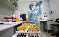 В России выявили более 100 штаммов нового коронавируса В России выявили более 100 штаммов нового коронавируса