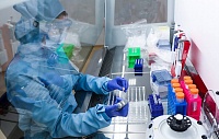 Новый метод генного редактирования превзошел по точности CRISPR/Cas9 Новый метод генного редактирования превзошел по точности CRISPR/Cas9