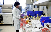 Ученые из США нашли комбинацию препаратов, эффективную против агрессивной формы рака Ученые из США нашли комбинацию препаратов, эффективную против агрессивной формы рака