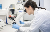 Новая генная терапия вычистила 90% следов герпеса из зараженных клеток Новая генная терапия вычистила 90% следов герпеса из зараженных клеток