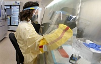 Ученые создали основу для долговременной вакцины от холеры Ученые создали основу для долговременной вакцины от холеры