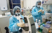 Биологи выяснили, что ускоряет развитие рассеянного склероза Биологи выяснили, что ускоряет развитие рассеянного склероза