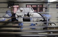 Чем опасен вирус Усуту, который впервые обнаружили у пациента во Франции Чем опасен вирус Усуту, который впервые обнаружили у пациента во Франции