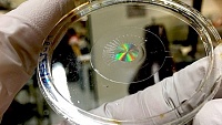Американские ученые создали аналог человеческого глаза Американские ученые создали аналог человеческого глаза
